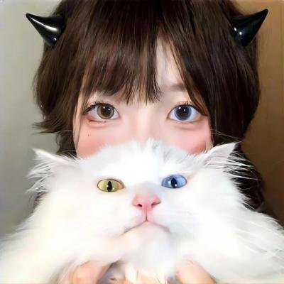 爱的笨猪跳